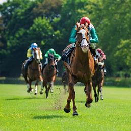 Sports injuries – horse racing